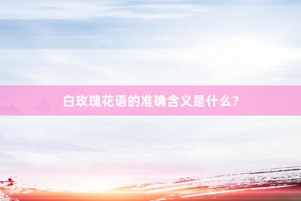 白玫瑰花语的准确含义是什么？