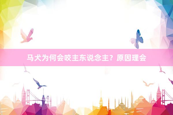 马犬为何会咬主东说念主？原因理会